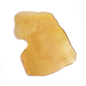 Lemon Kush Shatter