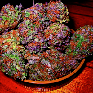 Rainbow kush