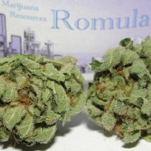 Romulan